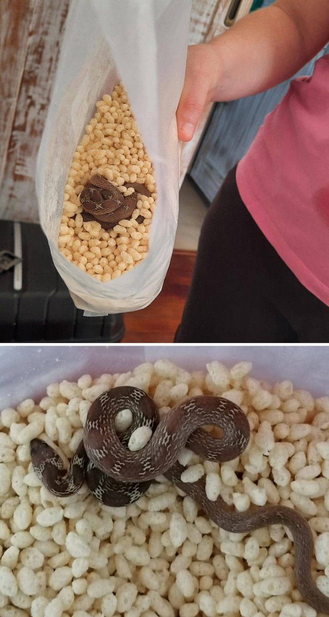 Bad Days Happen (44 pics)