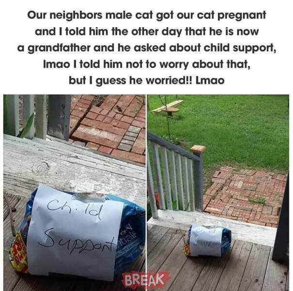 Funny Signs (31 pics)