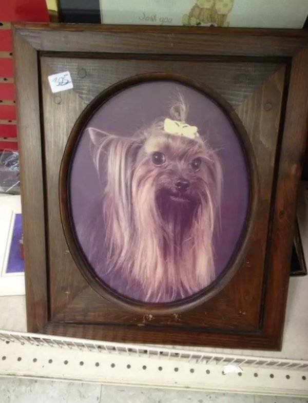 Weird Finds In Thrift Shops (59 pics)