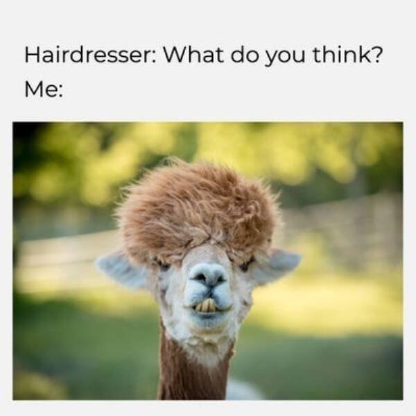 Funny Memes (42 pics)