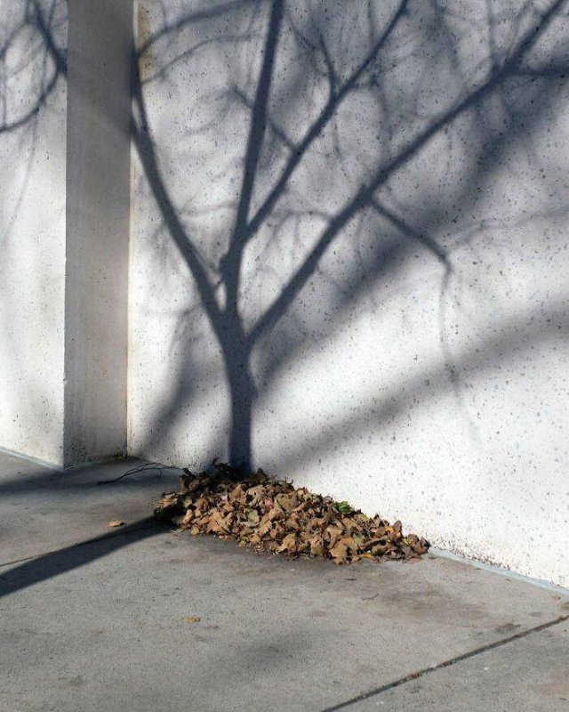 Interesting Coincidences (39 pics)
