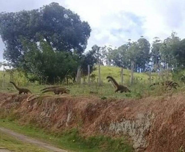 Look Twice (51 pics)