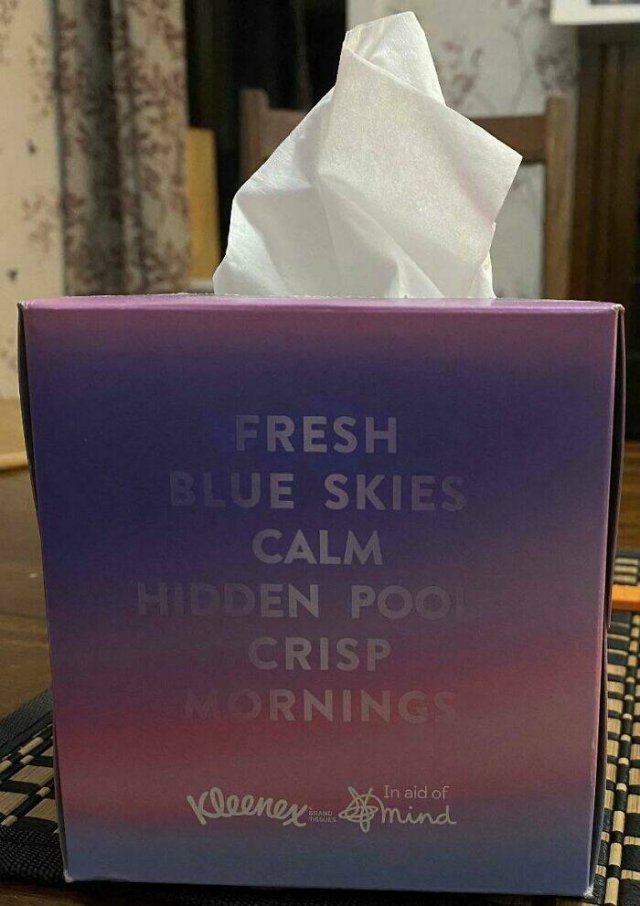 Bad Designs (48 pics)