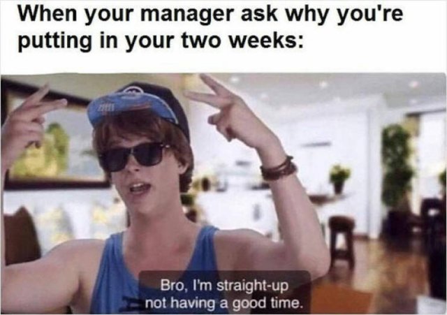 Job Memes (25 pics)