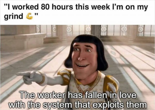 Job Memes (25 pics)