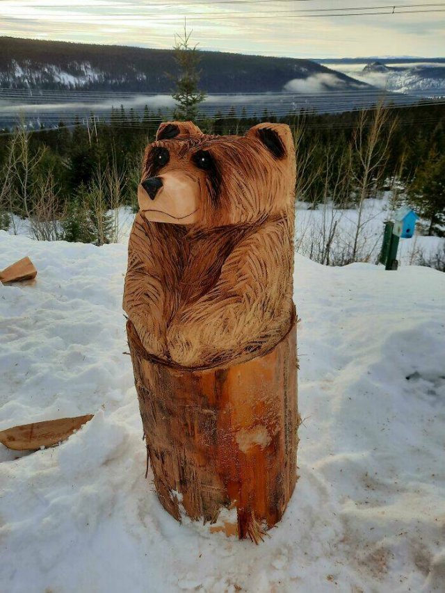 Incredible Woodworking (49 pics)