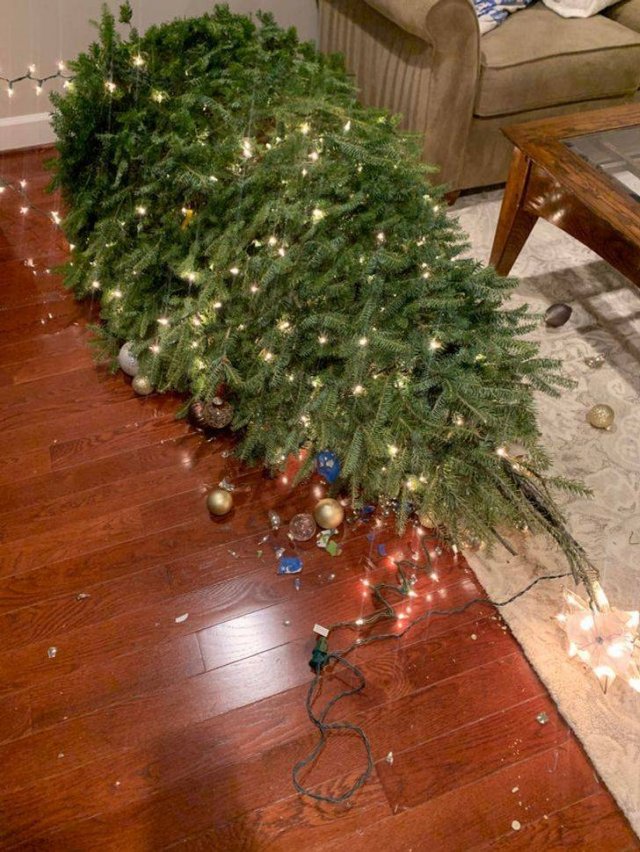 Annoying Situations (50 pics) Annoying Situations (50 pics)