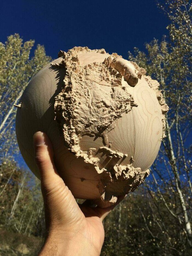 Incredible Woodworking (49 pics)
