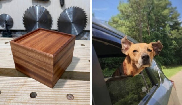 Incredible Woodworking (49 pics)