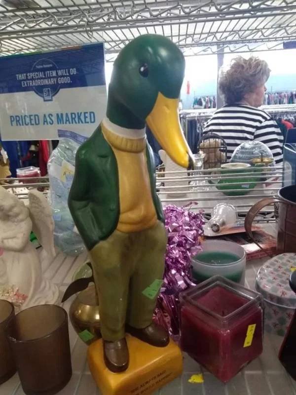 Weird Finds In Thrift Shop (49 pics)