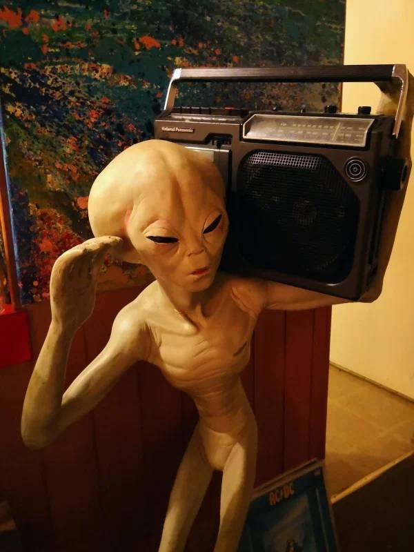 Weird Finds In Thrift Shop (49 pics)