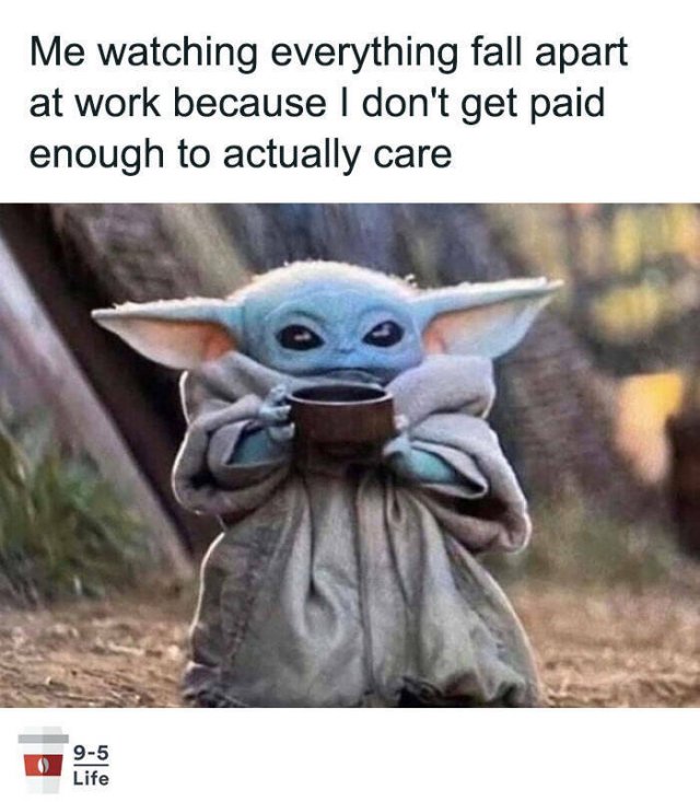 Job Memes (30 pics)