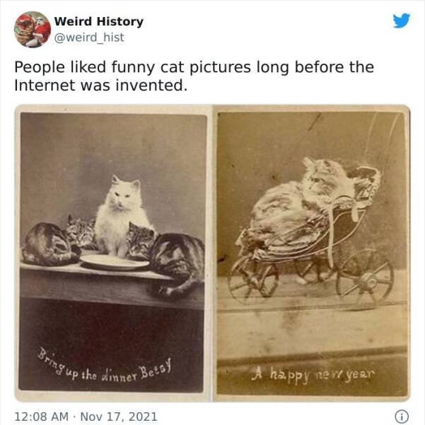 Weird History (43 pics)