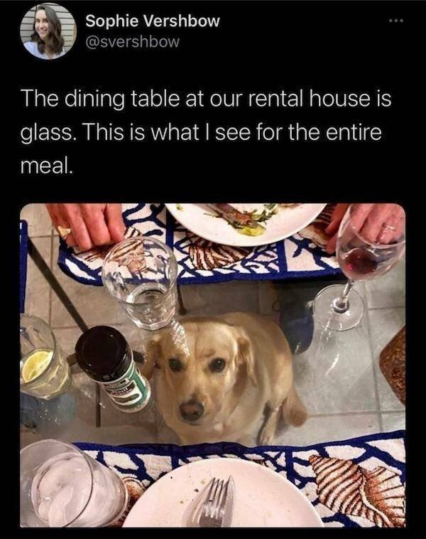 Funny Finds (37 pics)