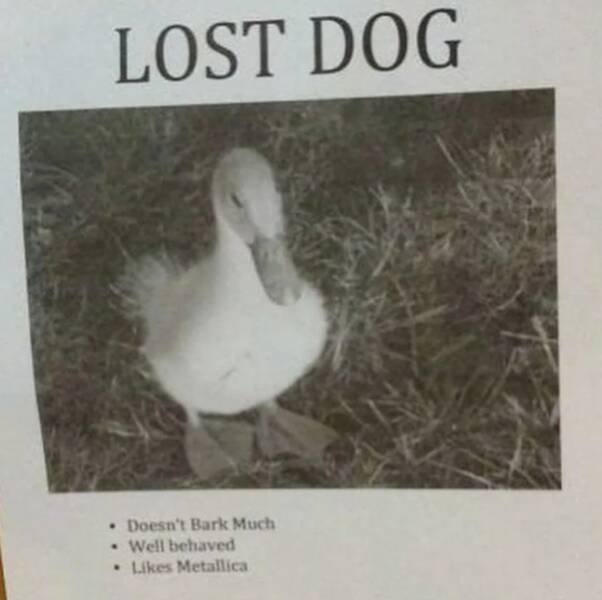 Funny Finds (37 pics)