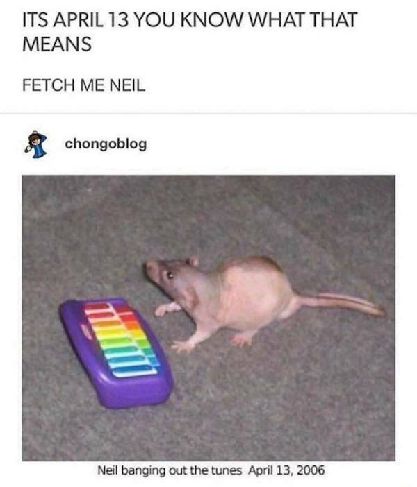 Funny Finds (37 pics)