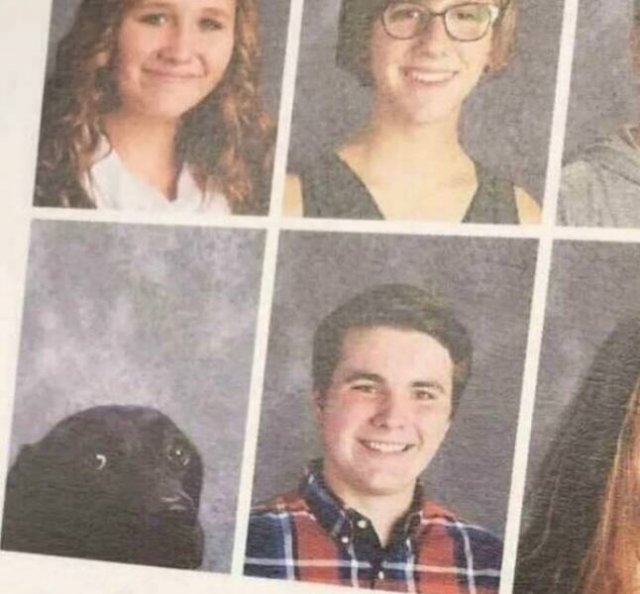 Funny Finds (37 pics)
