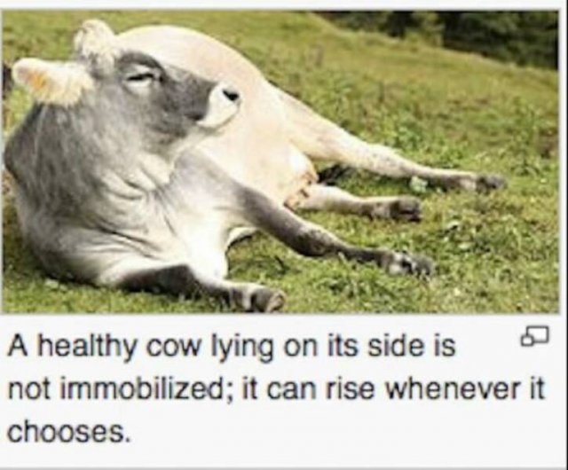 Funny Finds (37 pics)
