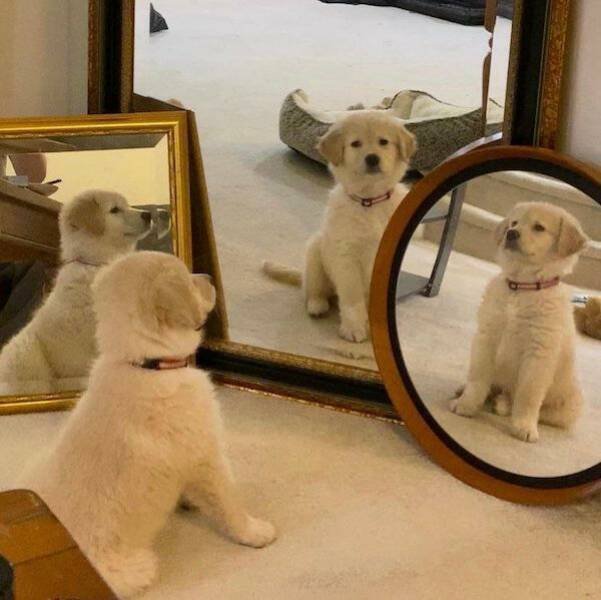 Funny Finds (37 pics)