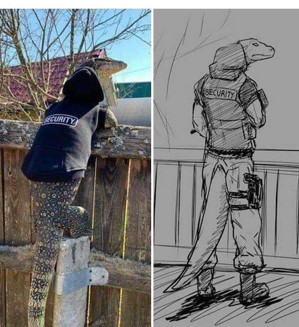 Funny Finds (37 pics)