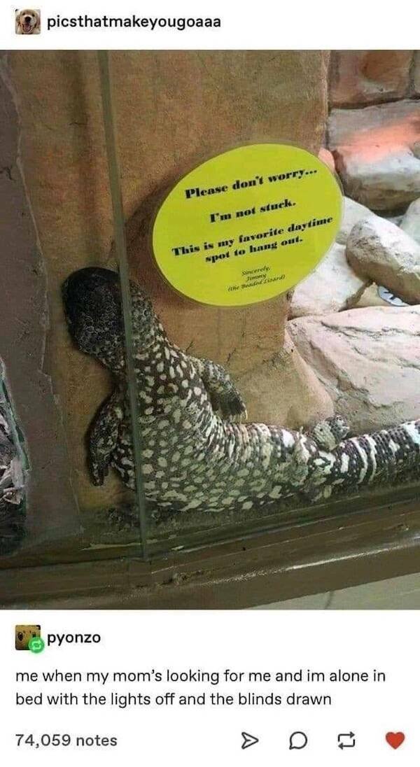 Funny Finds (37 pics)