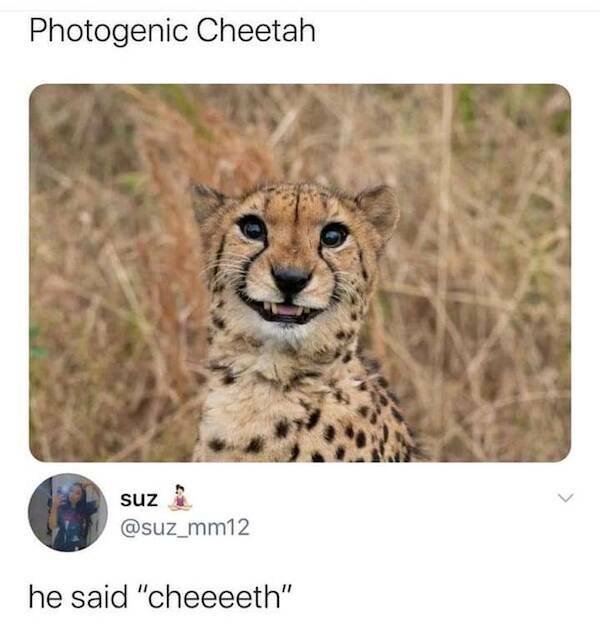 Funny Finds (37 pics)