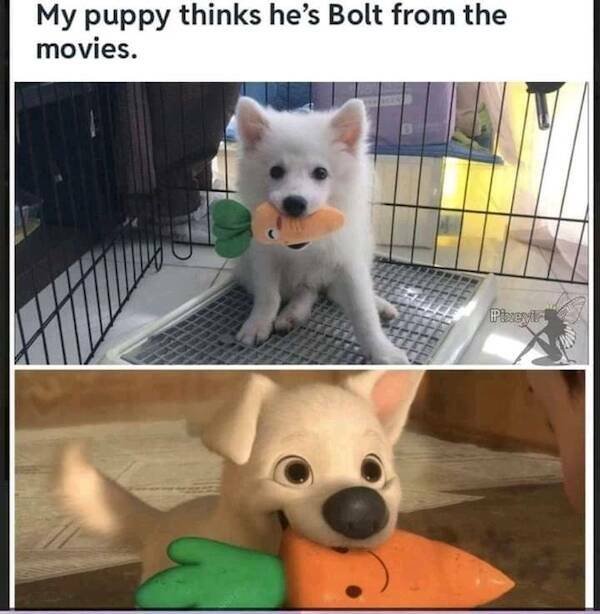 Funny Finds (37 pics)