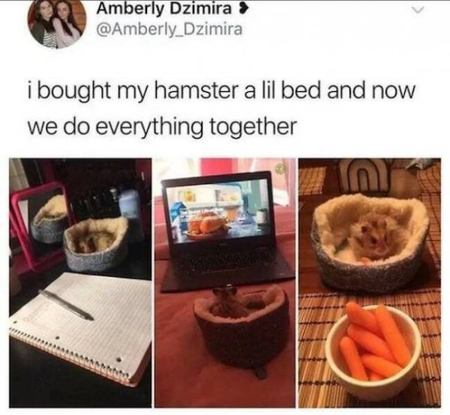 Funny Finds (37 pics)