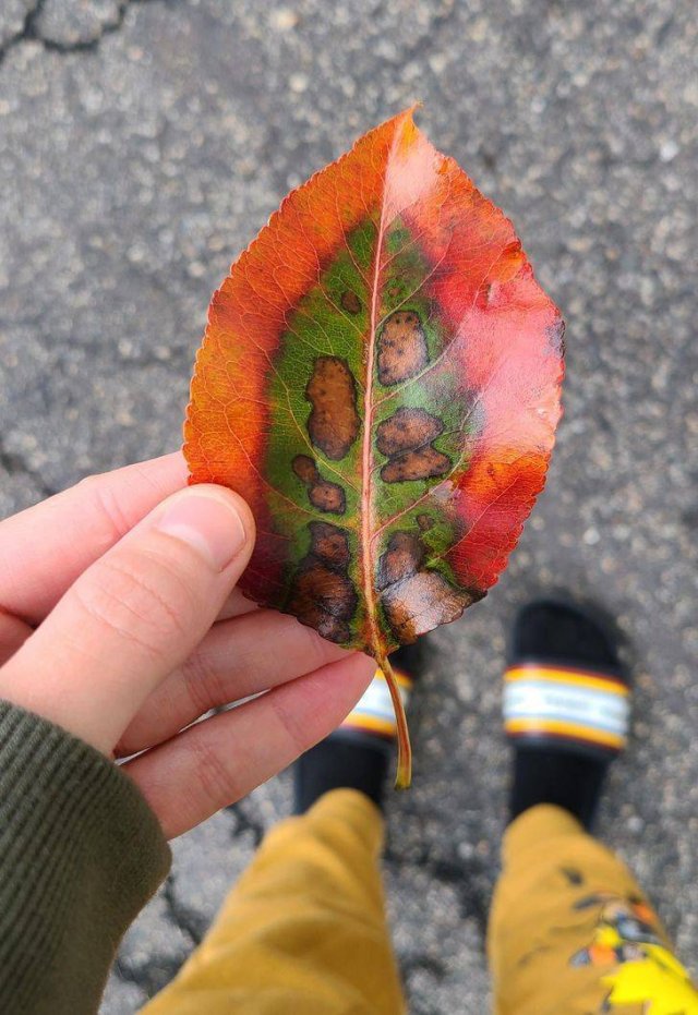 Awesome Finds (30 pics)