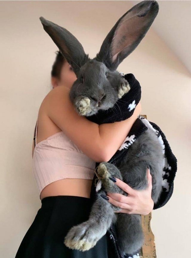 Awesome Finds (30 pics)