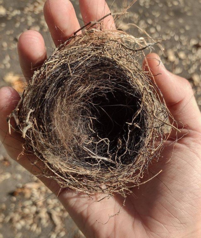 Awesome Finds (30 pics)