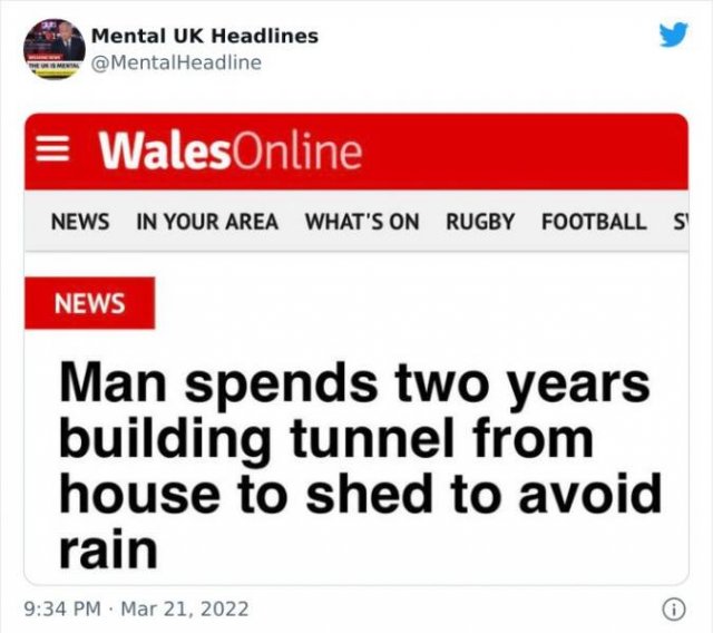 Weird Headlines (38 pics)