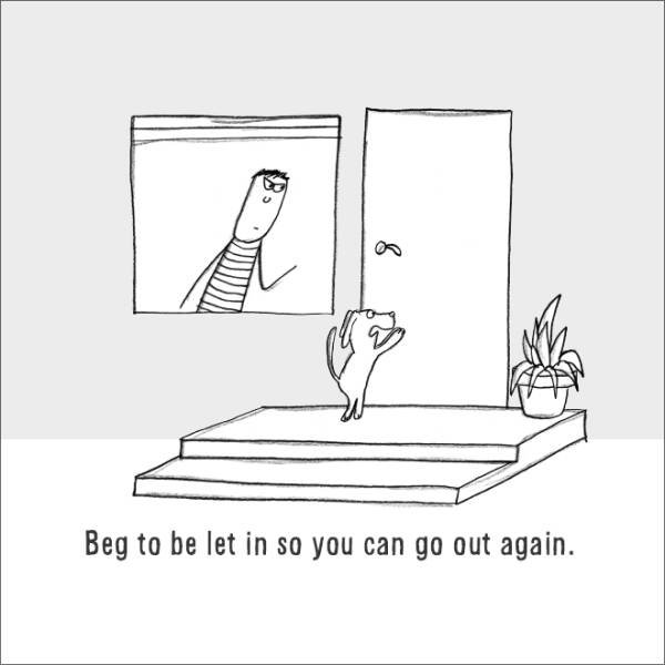 Comics About Dogs Life (22 pics)