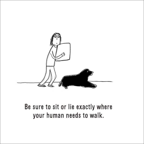 Comics About Dogs Life (22 pics)