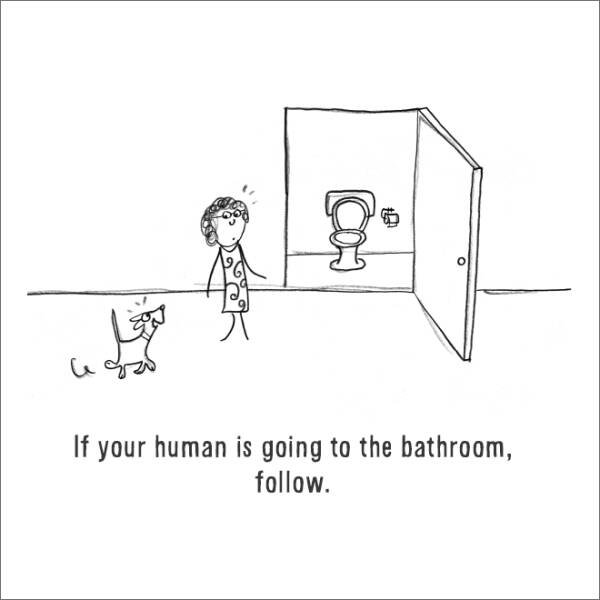 Comics About Dogs Life (22 pics)