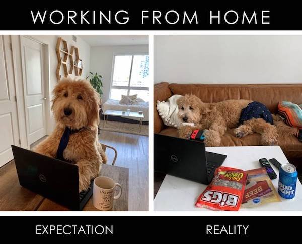 Expectations Against Reality (35 pics)