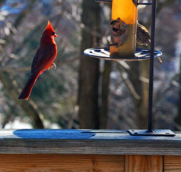 Right Moment (46 pics)