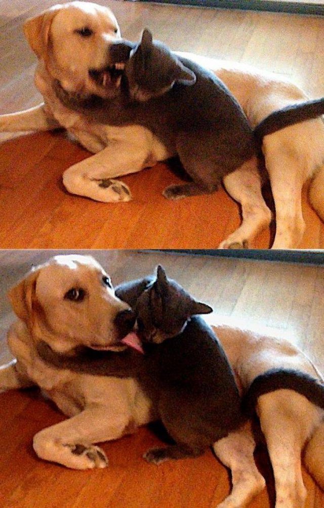 Right Moment (46 pics)