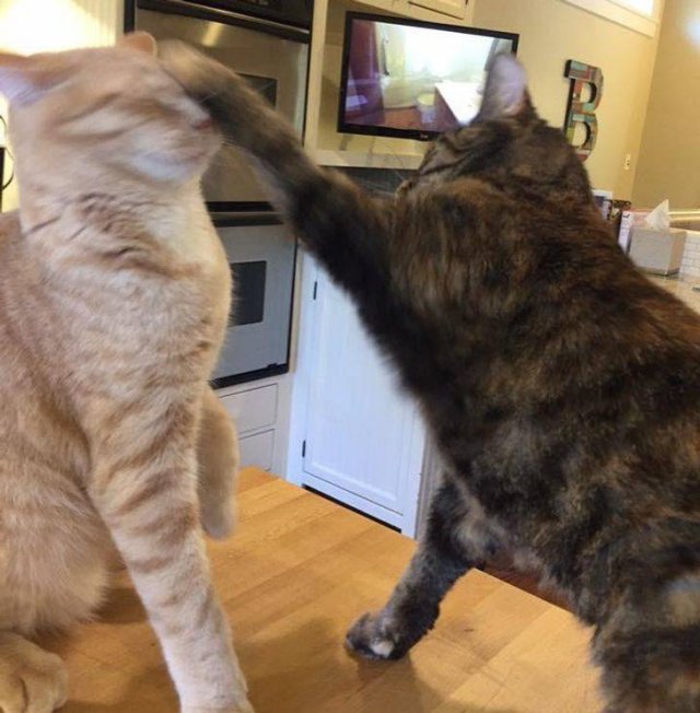 Right Moment (46 pics)