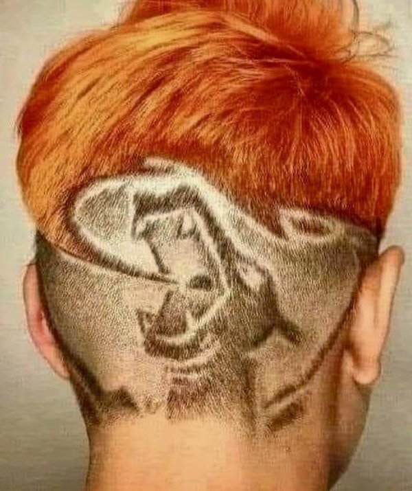 Weird Haircuts (26 pics)