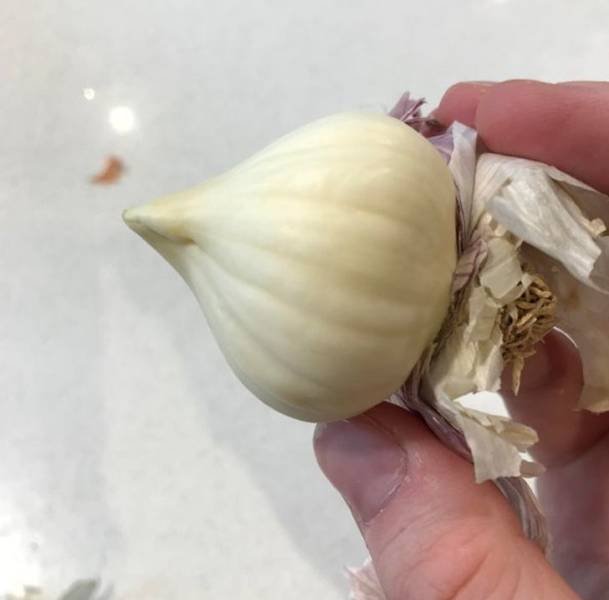 Unusual Finds (36 pics)