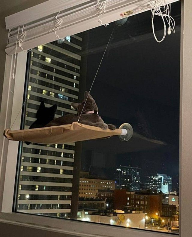 Unusual Designs (31 pics) Unusual Designs (31 pics)