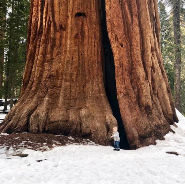 Unusual Finds (36 pics)