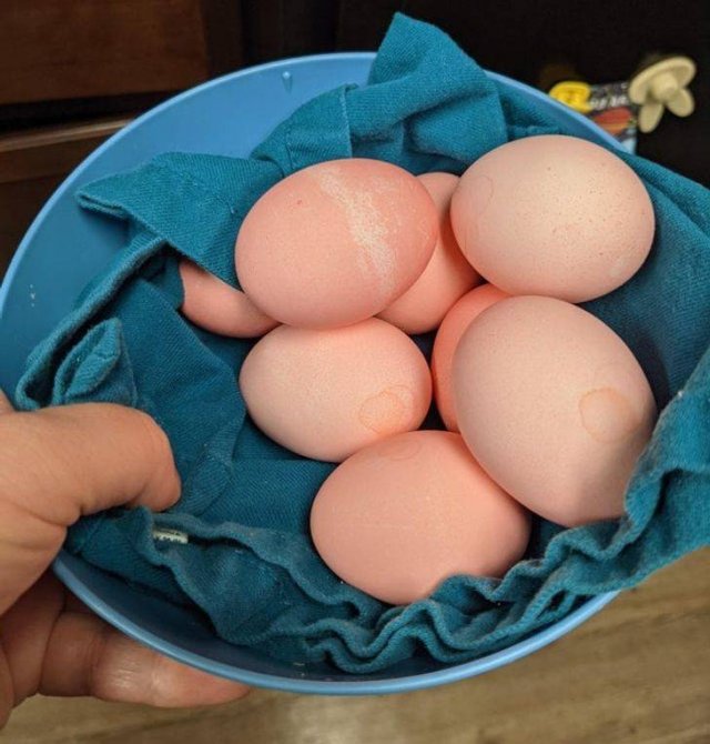 Kitchen Lifehacks (17 pics) Kitchen Lifehacks (17 pics)