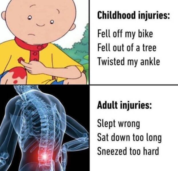 Adulthood Memes (24 pics)