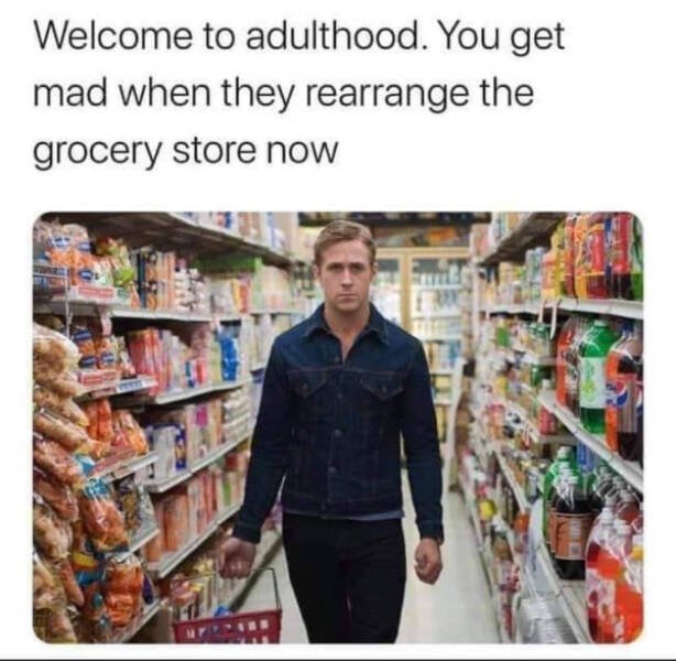 Adulthood Memes (24 pics)