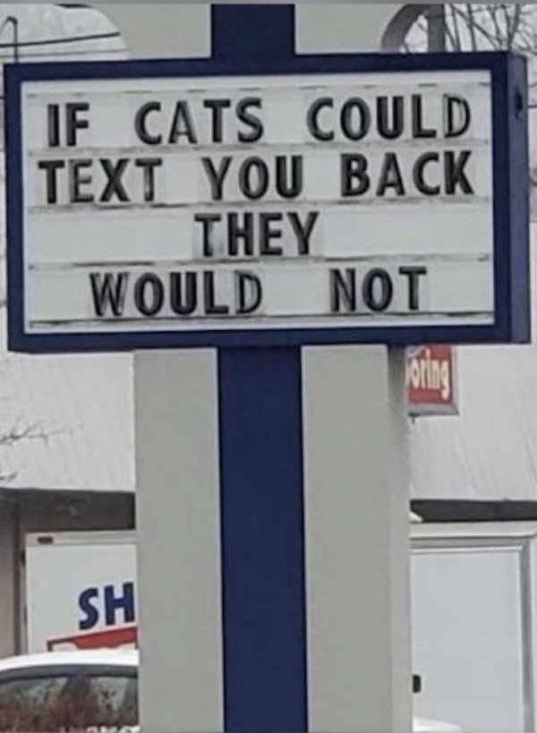 Funny Texts (19 pics)