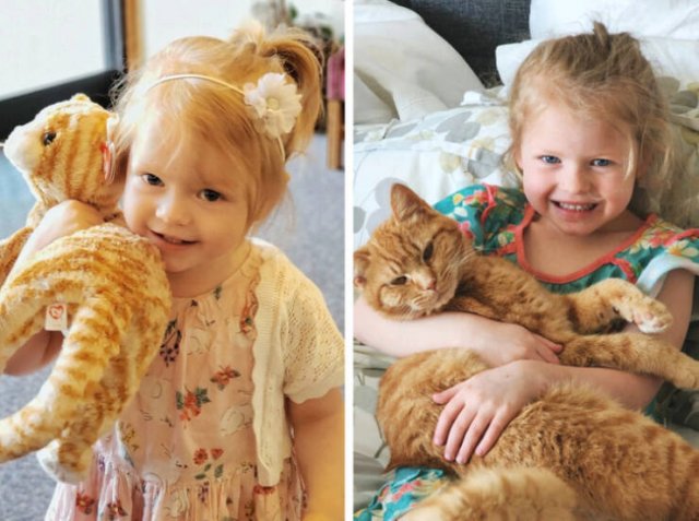 Life Is Beautiful (39 pics) Life Is Beautiful (39 pics)