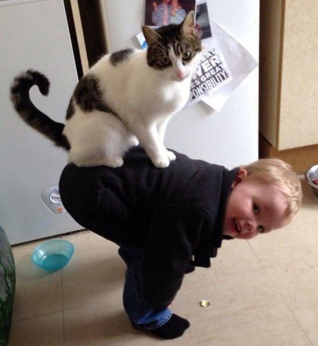 Funny Animals (58 pics)