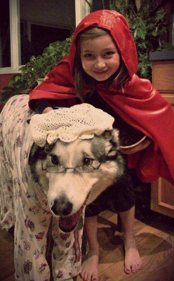 Funny Animals (58 pics)